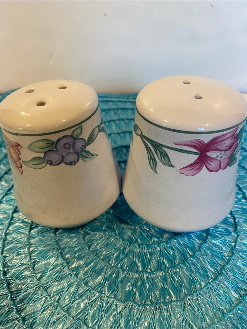 Vintage Oneida Tulip Garden Ceramic Salt & Pepper Shakers